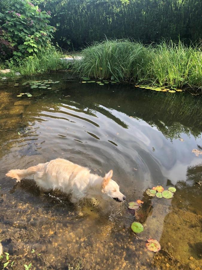 Millies Hosting - Familienurlaub Mit Hund In Kaernten Sankt Paul im Lavanttal Dış mekan fotoğraf