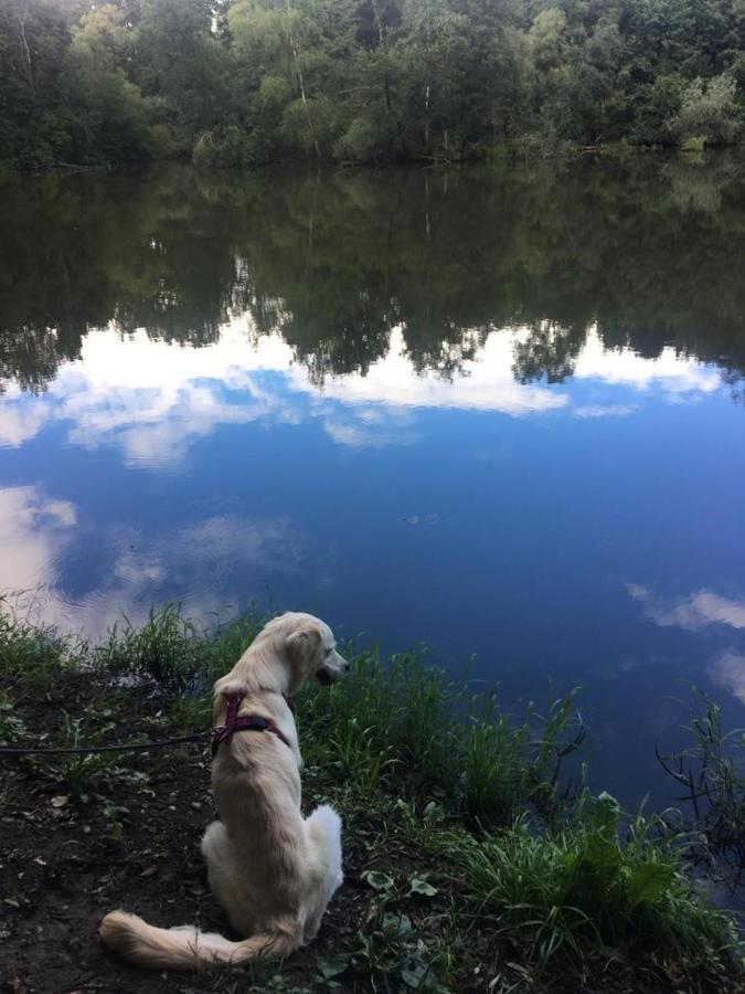 Millies Hosting - Familienurlaub Mit Hund In Kaernten Daire Sankt Paul im Lavanttal Dış mekan fotoğraf