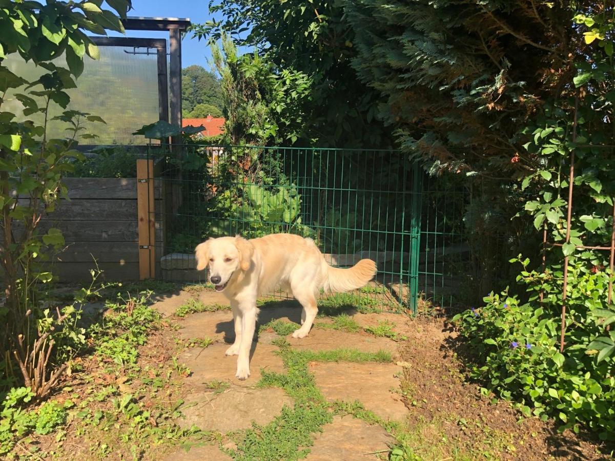 Millies Hosting - Familienurlaub Mit Hund In Kaernten Daire Sankt Paul im Lavanttal Dış mekan fotoğraf