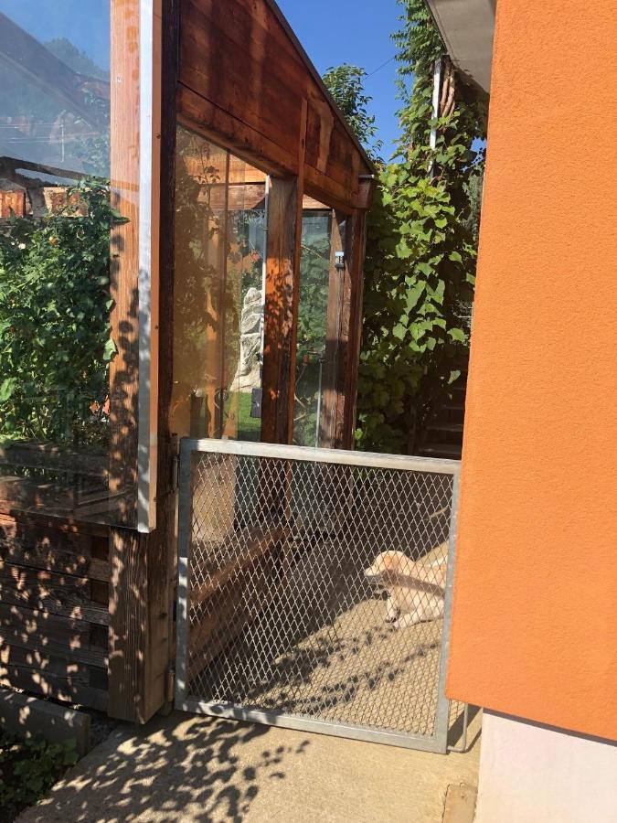 Millies Hosting - Familienurlaub Mit Hund In Kaernten Sankt Paul im Lavanttal Dış mekan fotoğraf