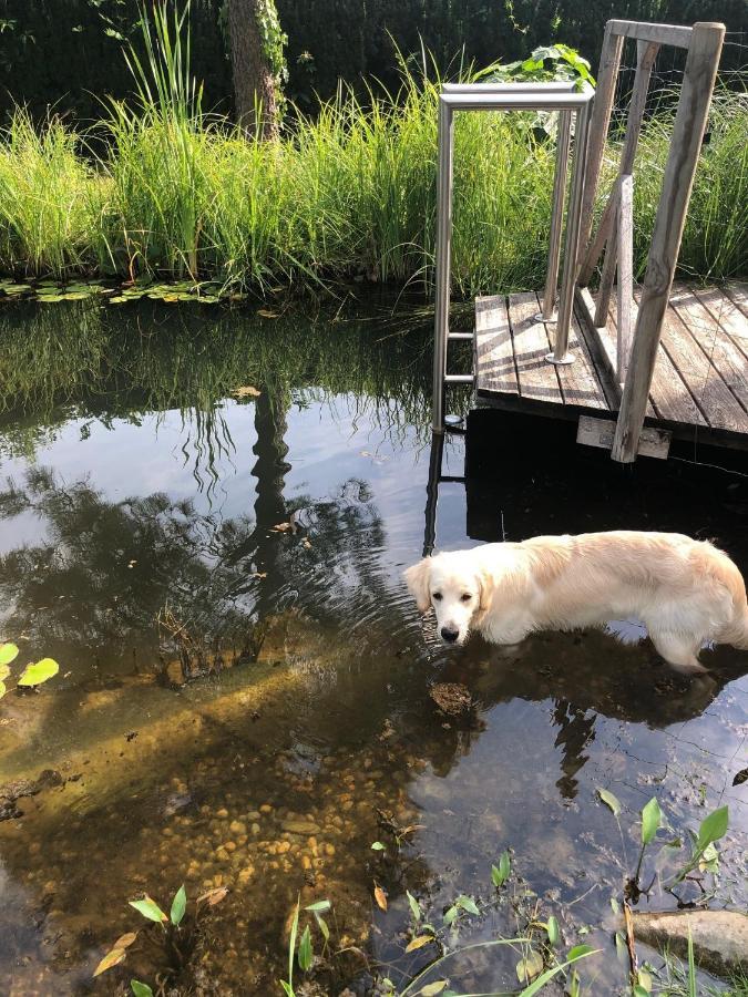 Millies Hosting - Familienurlaub Mit Hund In Kaernten Daire Sankt Paul im Lavanttal Dış mekan fotoğraf