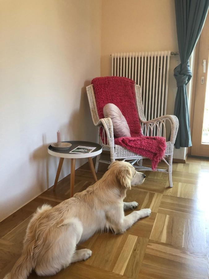 Millies Hosting - Familienurlaub Mit Hund In Kaernten Daire Sankt Paul im Lavanttal Dış mekan fotoğraf