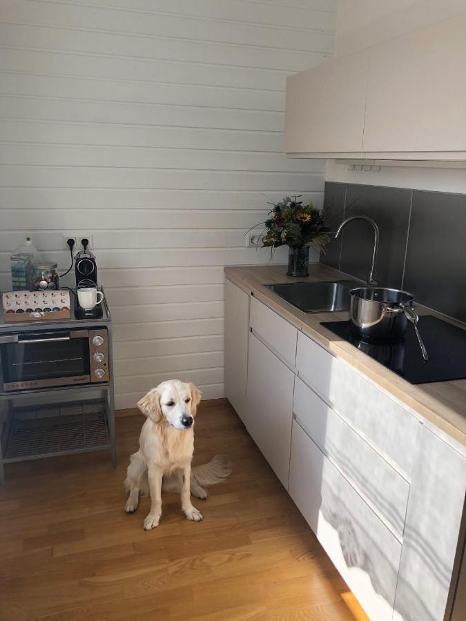 Millies Hosting - Familienurlaub Mit Hund In Kaernten Daire Sankt Paul im Lavanttal Dış mekan fotoğraf