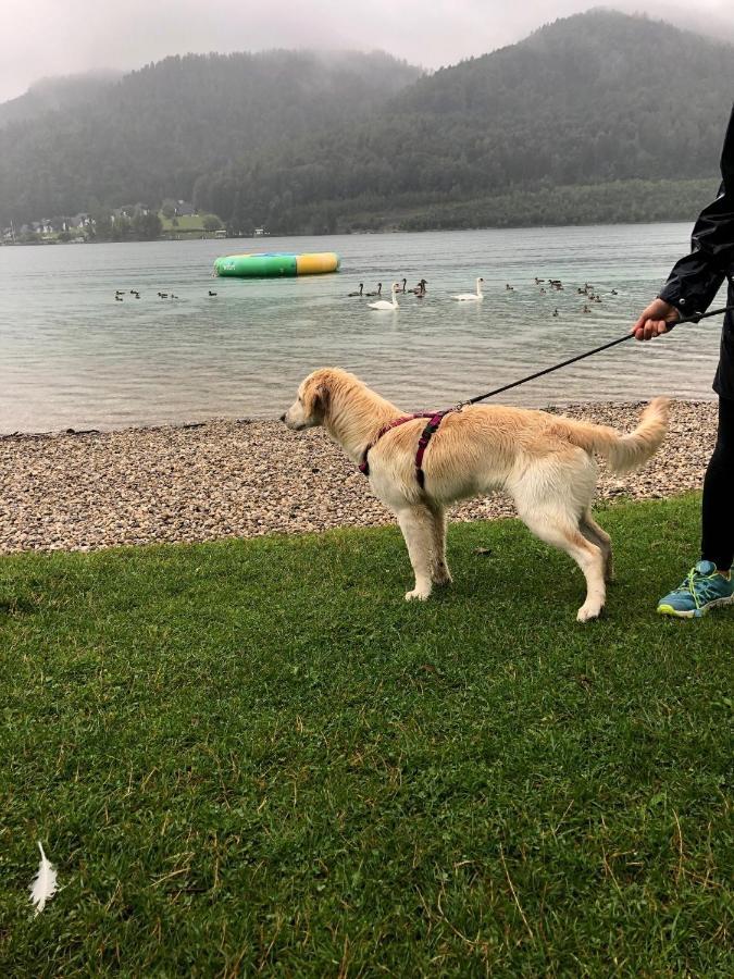 Millies Hosting - Familienurlaub Mit Hund In Kaernten Daire Sankt Paul im Lavanttal Dış mekan fotoğraf