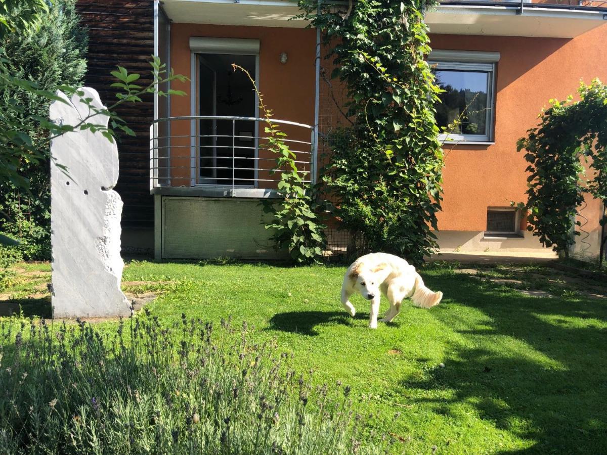 Millies Hosting - Familienurlaub Mit Hund In Kaernten Sankt Paul im Lavanttal Dış mekan fotoğraf