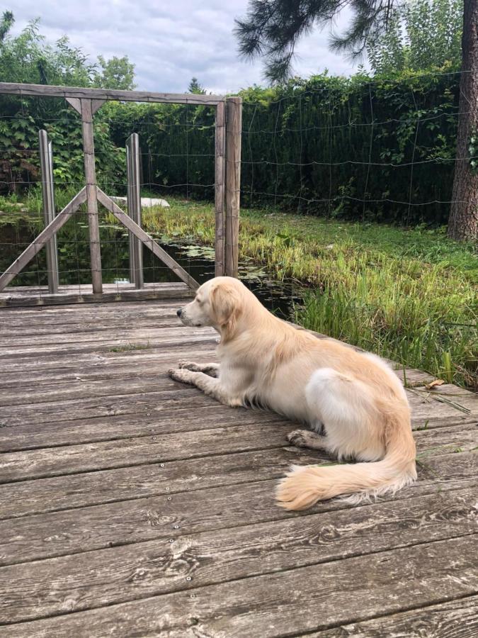 Millies Hosting - Familienurlaub Mit Hund In Kaernten Sankt Paul im Lavanttal Dış mekan fotoğraf