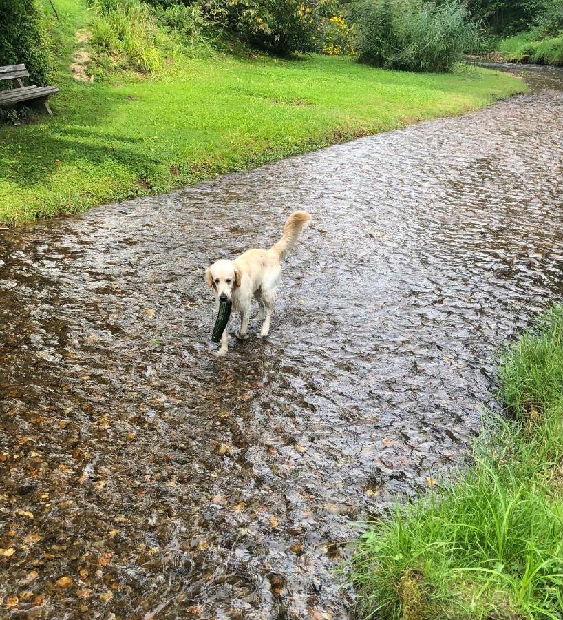 Millies Hosting - Familienurlaub Mit Hund In Kaernten Daire Sankt Paul im Lavanttal Dış mekan fotoğraf