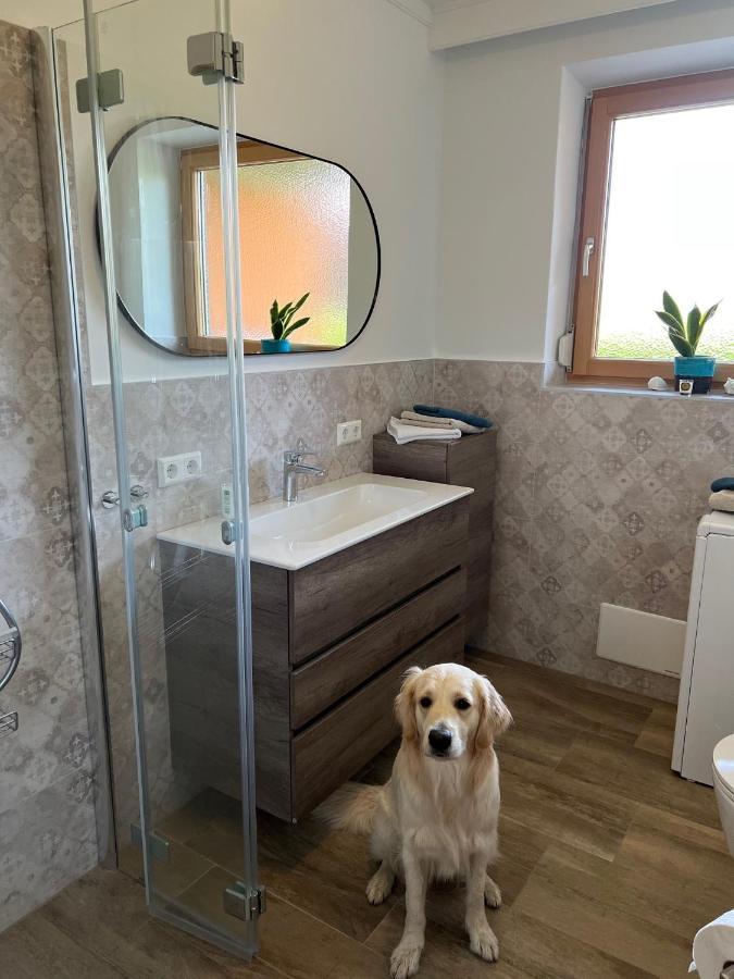 Millies Hosting - Familienurlaub Mit Hund In Kaernten Sankt Paul im Lavanttal Dış mekan fotoğraf