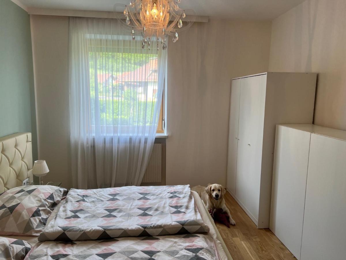 Millies Hosting - Familienurlaub Mit Hund In Kaernten Sankt Paul im Lavanttal Dış mekan fotoğraf